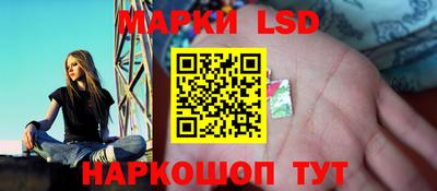 мяу мяу мука Будённовск