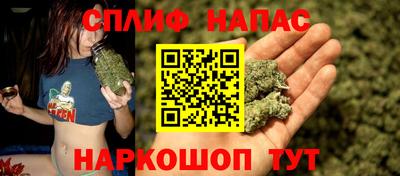 мяу мяу мука Будённовск