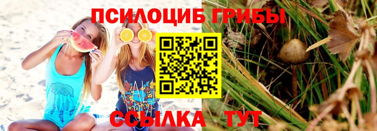 Хабаровск  Галлюциногенные грибы ЛСД  Вход с VPN 